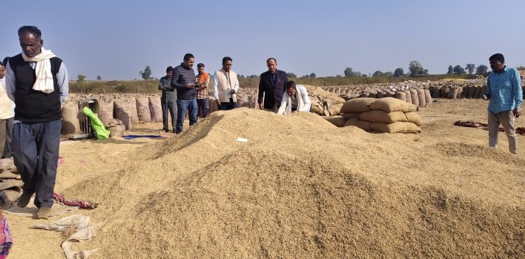 *4 हजार क्विंटल से अधिक अमानक धान का नहीं होगा उपार्जन*  *संयुक्त जांच दल ने किया बहोरीबंद के अंतर्गत संचालित उपार्जन केन्द्रों का औचक निरीक्षण*