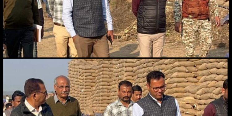 कलेक्टर श्री तिवारी ने किया ओपन कैप रीठी और मोहास उपार्जन केंद्रों का औचक निरीक्षण  गुणवत्ता और तौल में लापरवाही पर जताई नाराजगी