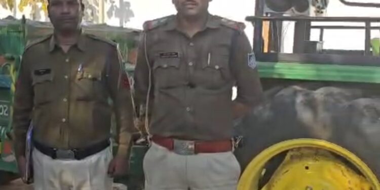*बड़वारा पुलिस द्वारा अवैध रेत परिवहन करते ट्रैक्टर–ट्रॉली जप्त*