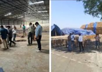 जबलपुर में धान खरीदी में बड़ा घोटाला, ई-उपार्जन पोर्टल पर फर्जी एंट्री कर साढ़े तीन करोड़ का नुकसान