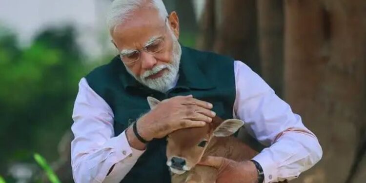 75 वर्षों बाद बदलेगा प्रधानमंत्री कार्यालय का पता, साउथ ब्लॉक से सेवा तीर्थ कॉम्प्लेक्स में शिफ्ट हो सकता है PMO