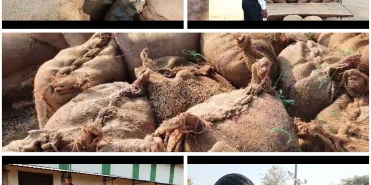 धान खरीदी में बड़ा खेल! बोरियों में पानी डालकर बढ़ाया जा रहा वजन, मौके पर पहुंचे अधिकारी*