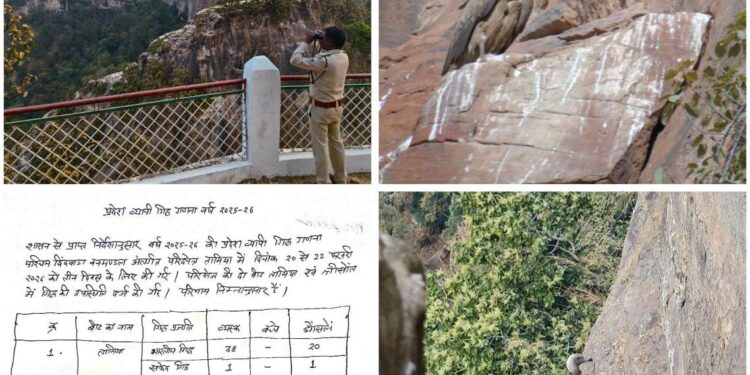 *प्रदेशव्यापी गिद्ध गणना वर्ष 2025-26*