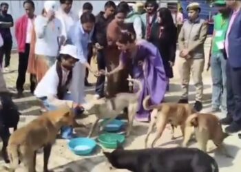 नाली में बहता दूध बना सेवा का प्रसाद! DM अस्मित लाल का फैसला हुआ वायरल