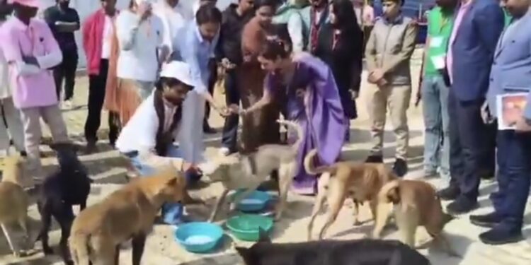 नाली में बहता दूध बना सेवा का प्रसाद! DM अस्मित लाल का फैसला हुआ वायरल