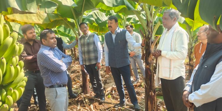 *पूरनलाल इनवाती छिंदवाड़ा के हर्रई ब्लॉक के एक प्रगतिशील जनजातीय किसान हैं,*