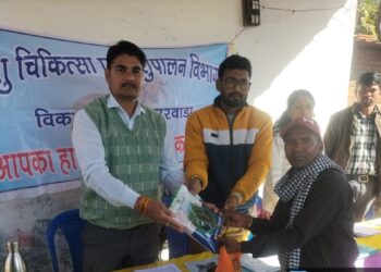 *कृषक कल्याण वर्ष 2026 : ‘वृंदावन ग्राम योजना’ से छिंदवाड़ा में गौ-पालन और डेयरी विकास को मिली नई गति*