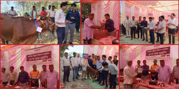 *ЁЯТердЕрджрд╛рдгреА рдлрд╛рдЙрдВрдбреЗрд╢рди рджреНрд╡рд╛рд░рд╛ рд╕рдВрдЪрд╛рд▓рд┐рдд рдПрдХреАрдХреГрдд рдкрд╢реБрдзрди рд╡рд┐рдХрд╛рд╕ рдХрд╛рд░реНрдпрдХреНрд░рдо рдХреЗ рдЕрдВрддрд░реНрдЧрдд рдЧреНрд░рд╛рдо рдЭрд┐рд░рд┐рдпрд╛ рдореЗрдВ рдЙрдиреНрдирдд рдкрд╢реБ рд╡рддреНрд╕ рдкреНрд░рджрд░реНрд╢рдиреА рдХрд╛ рдЖрдпреЛрдЬрдиЁЯТе*