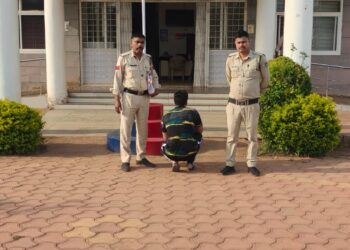 *छिंदवाड़ा (तामिया) पुलिस द्वारा अवैध मादक पदार्थ अफीम पर बड़ी कार्यवाही*  *अवैध मादक पदार्थ अफीम बनाने के डोडा के पौधे 6148 नग कुल वजनी 194.500 किलोग्राम कीमती 20 लाख रूपयें के जप्त*