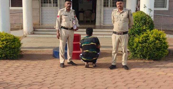 *छिंदवाड़ा (तामिया) पुलिस द्वारा अवैध मादक पदार्थ अफीम पर बड़ी कार्यवाही* *अवैध मादक पदार्थ अफीम बनाने के डोडा के पौधे 6148 नग कुल वजनी 194.500 किलोग्राम कीमती 20 लाख रूपयें के जप्त*