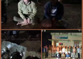 🚨 पालतू कुत्तों से चीतल का शिकार, पार्टी करते पकड़े गए शिकारी! 🚨 वन विभाग का बड़ा एक्शन — 3 गिरफ्तार, 3 फरार कटनी में हड़कंप