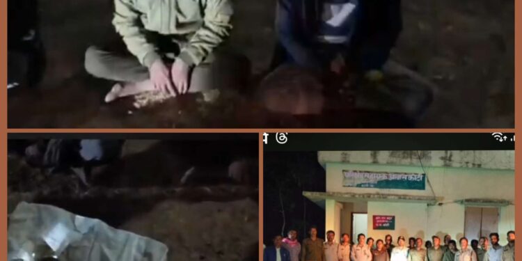 🚨 पालतू कुत्तों से चीतल का शिकार, पार्टी करते पकड़े गए शिकारी! 🚨 वन विभाग का बड़ा एक्शन — 3 गिरफ्तार, 3 फरार कटनी में हड़कंप