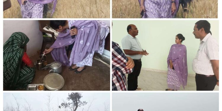 *जिला पंचायत सीईओ ने जनपद क्षेत्र कटनी की ग्राम पंचायतों में पहुंचकर जल संग्रहण संरचनाओं का औचक निरीक्षण कर लिया जायजा*