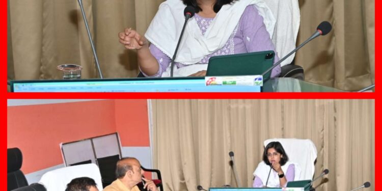 निगमायुक्त तपस्या परिहार का बड़ा एक्शन! लंबित प्रकरणों पर मांगा जवाब