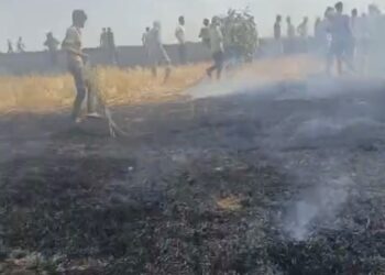 *कालापीपल के ग्राम तिलावद में अज्ञात कारण के चलते गेंहू की खड़ी फसल में लगीं आग…!