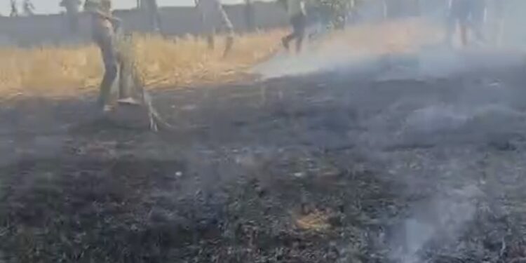 *कालापीपल के ग्राम तिलावद में अज्ञात कारण के चलते गेंहू की खड़ी फसल में लगीं आग…!