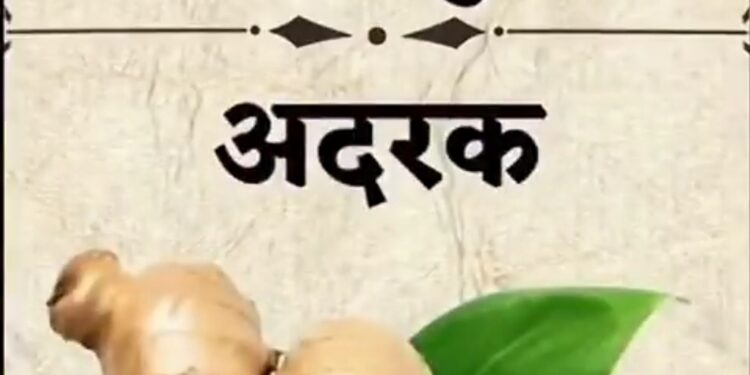 15 हेल्दी सीक्रेट्स जो हर किसी को जानना चाहिए…