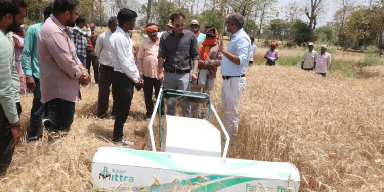 कलेक्टर ने खेत में उतरकर किया कमाल 🚜 इलेक्ट्रिक रीपर से गेहूं कटाई का लाइव डेमो