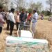 कलेक्टर ने खेत में उतरकर किया कमाल 🚜 इलेक्ट्रिक रीपर से गेहूं कटाई का लाइव डेमो