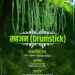 🌿 सहजन: सस्ता, सुलभ और सेहत का सुपरफूड – इम्यूनिटी बढ़ाने में कारगर