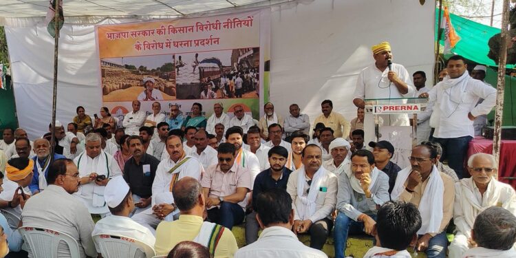 भाजपा सरकार चाह रही की मूंग खरीदी ना की जाए : पूर्व कांग्रेस जिलाध्यक्ष पुष्पराज पटेल,सोहागपुर क्षेत्र में वेयरहाउस में सबसे ज्यादा हो रही गड़बड़िया : कांग्रेस जिलाध्यक्ष शिवाकांत पांडे… वीडियो