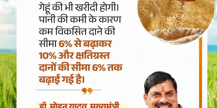 *50% खराब चमक वाला गेहूं! घबराएं नहीं अन्नदाता, इन्हें भी खरीदेगी हमारी सरकार* – *मुख्यमंत्री डॉ. मोहन यादव का ऐतिहासिक फैसला* – *कम विकसित दाने की सीमा 6 से बढ़कर 10 प्रतिशत हुई* – *किसान कल्याण के लिए पूर्णतः समर्पित प्रदेश के मुखिया*