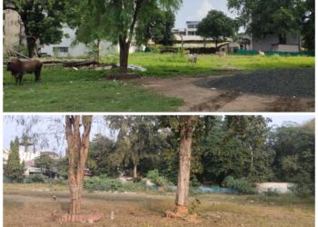 नगर की सिविल लाइन स्थित वादग्रस्त नजूल भूमि (पुराना कामख्या गार्डन) मामले में सुनवाई उपरांत आया महत्वपूर्ण फैसला…,हितबद्ध पक्षकार वादग्रस्त भूमि के उपयोग अधिकार निर्धारण हेतु सक्षम व्यवहार न्यायालय हेतु स्वतंत्र : न्यायालय नजूल अधिकारी… वीडियो