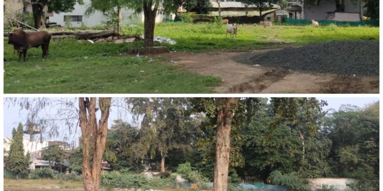 नगर की सिविल लाइन स्थित वादग्रस्त नजूल भूमि (पुराना कामख्या गार्डन) मामले में सुनवाई उपरांत आया महत्वपूर्ण फैसला…,हितबद्ध पक्षकार वादग्रस्त भूमि के उपयोग अधिकार निर्धारण हेतु सक्षम व्यवहार न्यायालय हेतु स्वतंत्र : न्यायालय नजूल अधिकारी… वीडियो