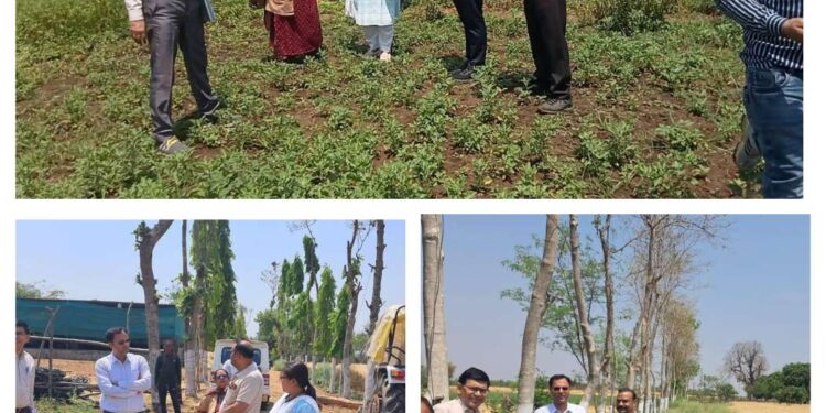 🚜 कटनी में किसान का कमाल! 22 एकड़ से 16 लाख सालाना कमाई, कलेक्टर भी हुए हैरान 😲