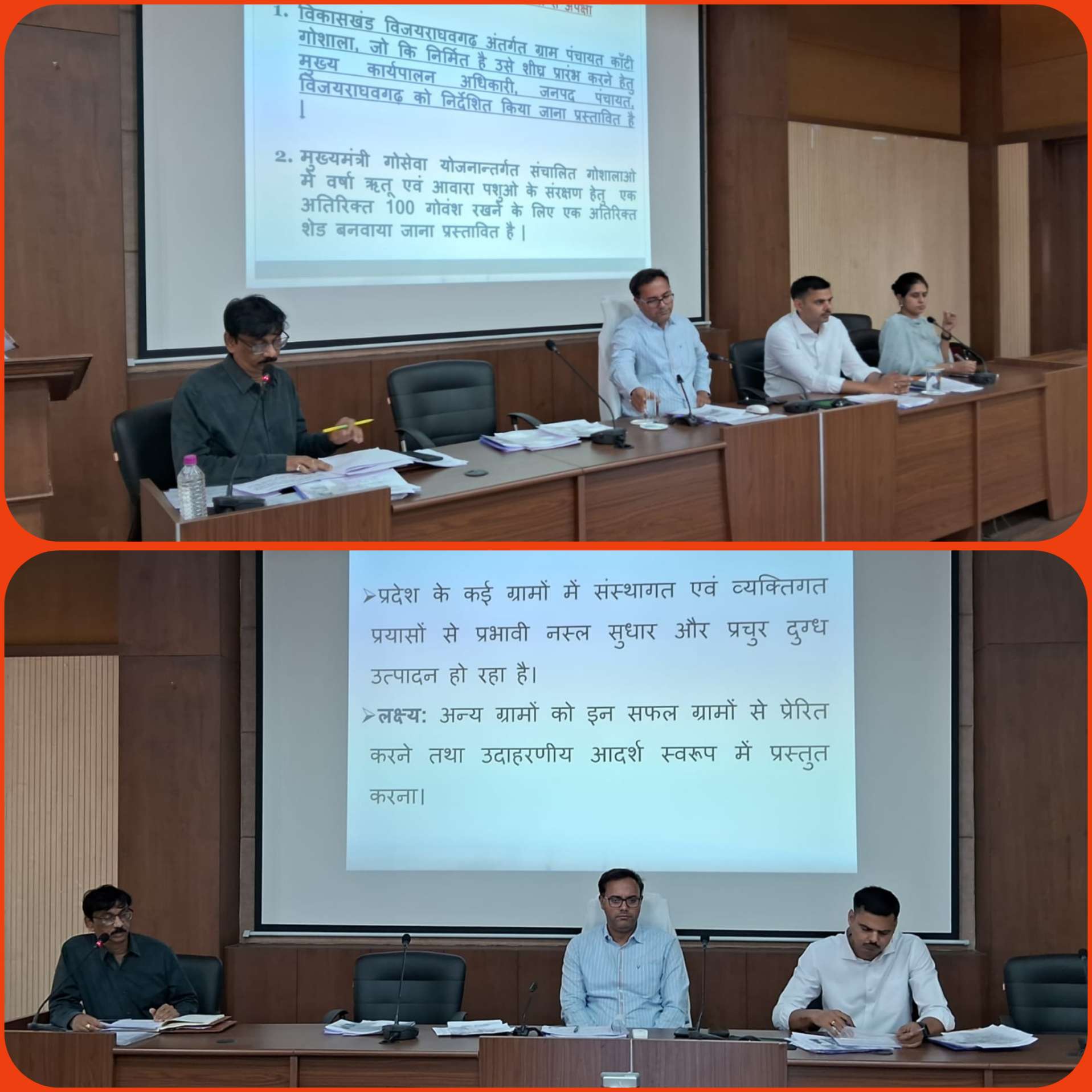 कलेक्टर तिवारी का निर्देश: पशुपालन से बढ़ेगी आय, विभागों में समन्वय जरूरी