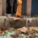 नारी क्या नहीं कर सकती जब ठान लेती है तो शासन तक हिला देती है…?
