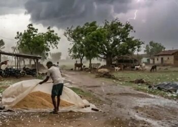 ⚠️ “मध्यप्रदेश में मौसम का बड़ा कहर! 39 जिलों में तूफान-बारिश, ओले गिरने का खतरा”