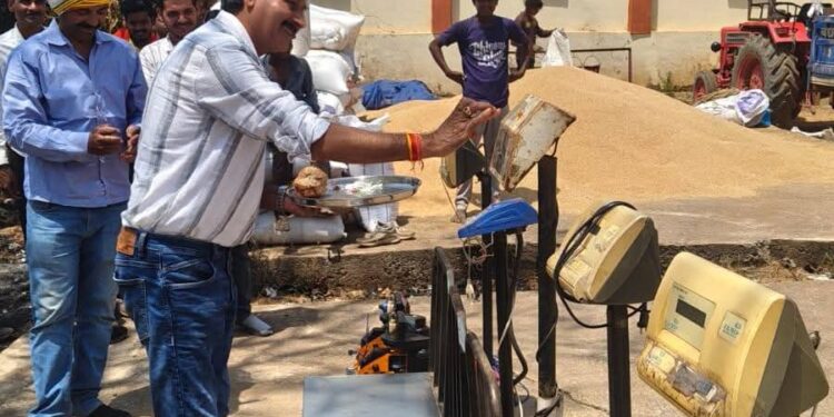 जिले में समर्थन मूल्य पर अब तक 13 हजार 612 कृषकों से 47 हजार मीट्रिक टन से अधिक गेहूँ उपार्जित