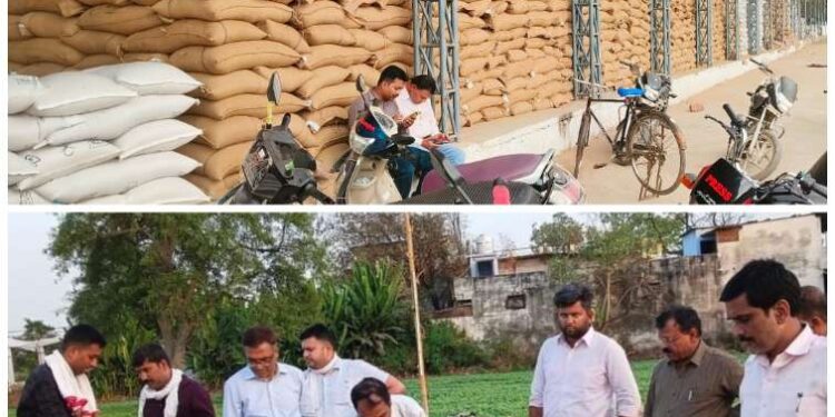 उपार्जन केंद्रों पर अमानक स्तर का गेहूं खरीदी किए जाने का मामला गरमाया,एफसीआई ने वापस लौटाया,सीईओ हिमांशु जैन ने उपार्जन केंद्रों का किया निरीक्षण,गुणवत्ता युक्त गेहूं खरीदी के दिए निर्देश….. वीडियो