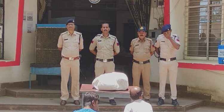 *11 किलो अवैध गांजा के साथ दो आरोपी कुठला पुलिस की गिरफ्त में*