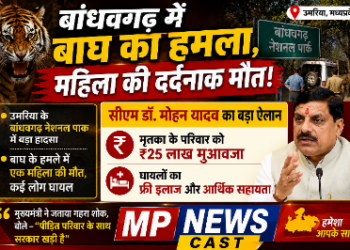 💰 सीएम डॉ. मोहन यादव का बड़ा ऐलान ➡️ मृतका के परिवार को ₹25 लाख मुआवजा ➡️ घायलों का फ्री इलाज और आर्थिक सहायता