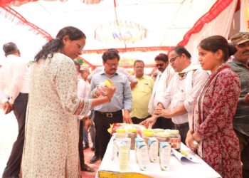 कलेक्टर ने पन्ना एवं अजयगढ़ के जनकल्याण शिविर का किया निरीक्षण तीन दिवसीय शिविर में समस्त पात्र हितग्राहियों को लाभांवित करने के दिए निर्देश