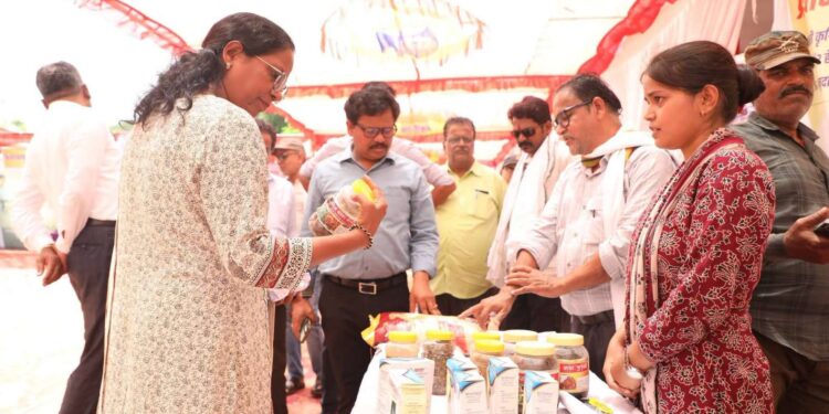 कलेक्टर ने पन्ना एवं अजयगढ़ के जनकल्याण शिविर का किया निरीक्षण तीन दिवसीय शिविर में समस्त पात्र हितग्राहियों को लाभांवित करने के दिए निर्देश