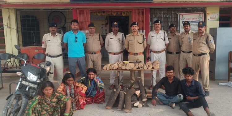*कटनी के ‘पारदी गैंग’ का नागौद में पर्दाफाश: दिन में बेचते थे रुद्राक्ष, रात में काटते थे चंदन के पेड़*