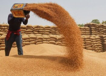 *पांढुर्णा जिले में गेहूं उपार्जन प्रक्रिया सफलतापूर्वक संपन्न, 441 किसानों ने किया विक्रय*  *2669.35 मैट्रिक टन गेहूं की खरीदी, किसानों को 5.81 करोड़ रुपये से अधिक का भुगतान*