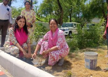 *विश्व पर्यावरण दिवस पर कलेक्टर कार्यालय परिसर में हुआ पौधारोपण*  *पर्यावरण संरक्षण का दिया संदेश, अधिकारियों ने हरित भविष्य का लिया संकल्प*