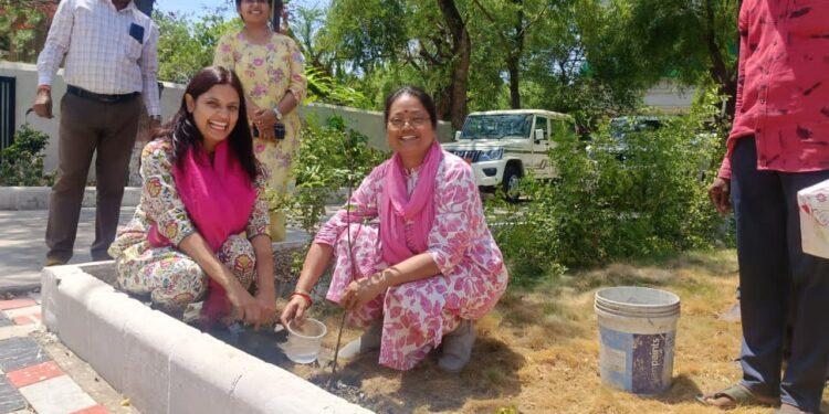 *विश्व पर्यावरण दिवस पर कलेक्टर कार्यालय परिसर में हुआ पौधारोपण* *पर्यावरण संरक्षण का दिया संदेश, अधिकारियों ने हरित भविष्य का लिया संकल्प*