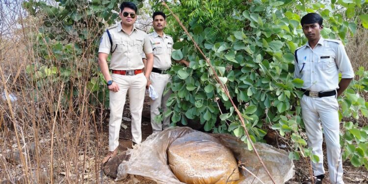 *पांढुर्णा जिले में अवैध शराब के विरुद्ध आबकारी विभाग की बड़ी कार्रवाई* *नीलकंठ, कारापाठा, मरकावाड़ा एवं लहराढाना में दबिश, 800 किलो महुआ लाहन नष्ट कर 4 प्रकरण दर्ज*