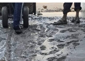 नगर परिषद पानखेड़ी में आनंद ही आनंद….!  वार्ड क्रमांक 3 में सीसी सड़क में घाटियां निर्माण को लेकर नागरिकों में आक्रोश रुकवाया काम…।