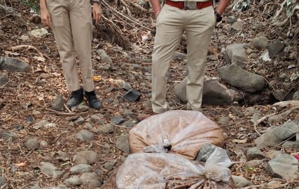 *कलेक्टर नीरज कुमार वशिष्ठ के निर्देशन में आबकारी विभाग की कार्रवाई*  *अवैध शराब के अड्डों पर दबिश, 500 किलो महुआ लाहन नष्ट, दो प्रकरण पंजीबद्ध*