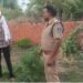 *💥घर की बाड़ी में लहलहा* *रहे थे अपराध के पौधे, महक रही थी गांजे की फुलवारी* *विजयराघवगढ़ पुलिस ने पौधों को उखड़वाया, आरोपी गिरफ्त में💥*