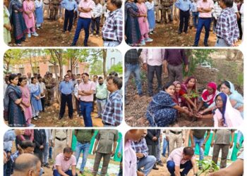 विश्व पर्यावरण दिवस पर कलेक्टर ने बहोरीबंद एसडीएम कार्यालय परिसर में किया पौधारोपण  कलेक्टर श्री तिवारी ने एक पेड़ मां के नाम 2.0 अभियान के तहत रोपा आम का पौधा
