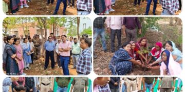 विश्व पर्यावरण दिवस पर कलेक्टर ने बहोरीबंद एसडीएम कार्यालय परिसर में किया पौधारोपण  कलेक्टर श्री तिवारी ने एक पेड़ मां के नाम 2.0 अभियान के तहत रोपा आम का पौधा