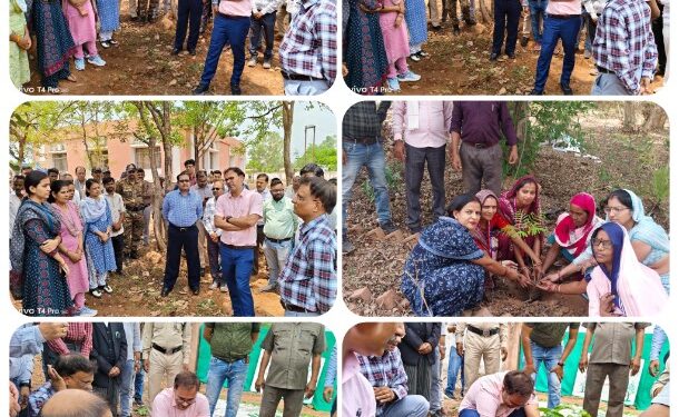 विश्व पर्यावरण दिवस पर कलेक्टर ने बहोरीबंद एसडीएम कार्यालय परिसर में किया पौधारोपण  कलेक्टर श्री तिवारी ने एक पेड़ मां के नाम 2.0 अभियान के तहत रोपा आम का पौधा