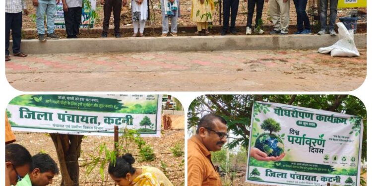 *विश्व पर्यावरण दिवस पर जिला पंचायत सीईओ सुश्री कौर ने अशोक का पौधा रोपित कर पर्यावरण संरक्षण और हरियाली का दिया संदेश*